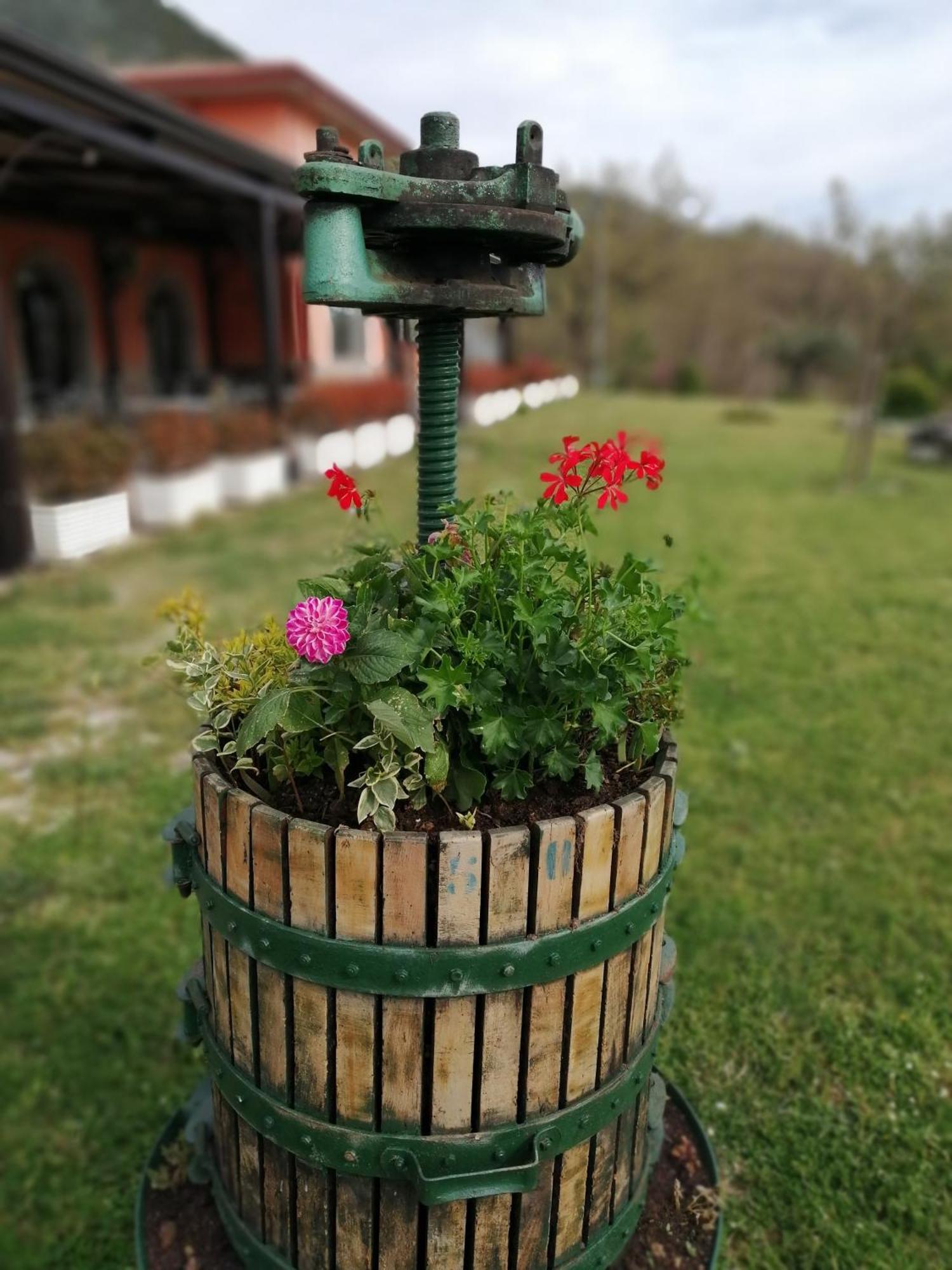 Salisu Country House Mignano Monte Lungo Buitenkant foto